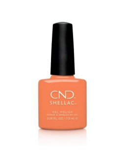 CND - Shellac Catch Of The Day